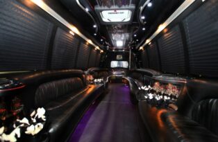 Photo of: 24 & 30 Passenger Luxury Bus